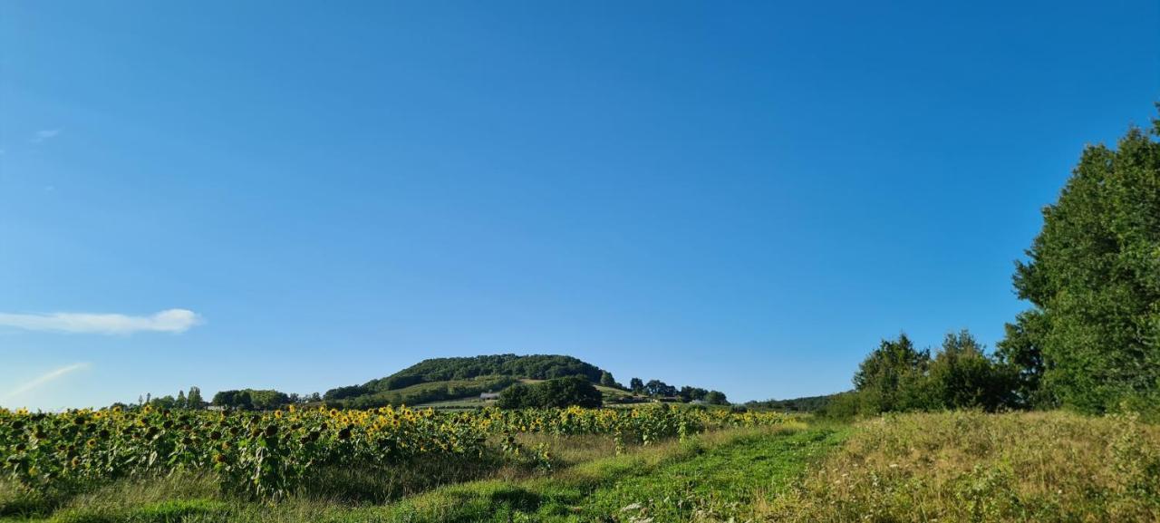 Bed and Breakfast Le Coq en Repos Saint-Sylvestre-sur-Lot Exterior foto